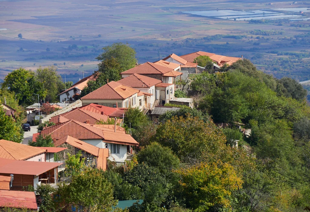 Aerial view of Sighnaghi's terracotta rooftops overlooking the green Alazani Valley.