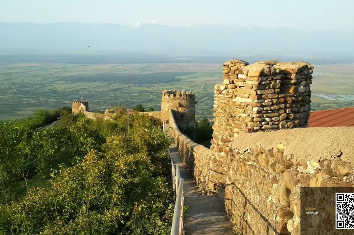 Kakheti Classic — Sighnaghi, Bodbe and Two Cellars in a Day