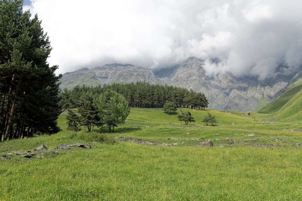 Terek river valley and forested mountains in the Caucasus region of Georgia.