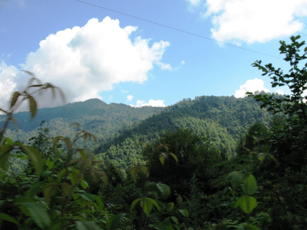 Forested mountain ridges along the route from Batumi toward the Adjara highlands.