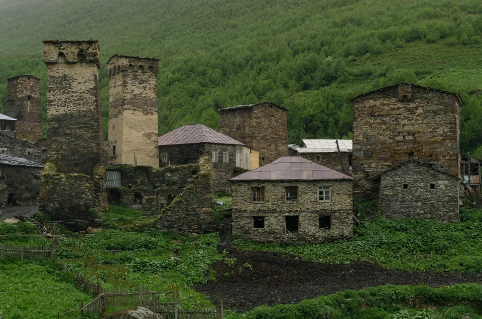 Georgia in June: alpine flowers, Svaneti trails open