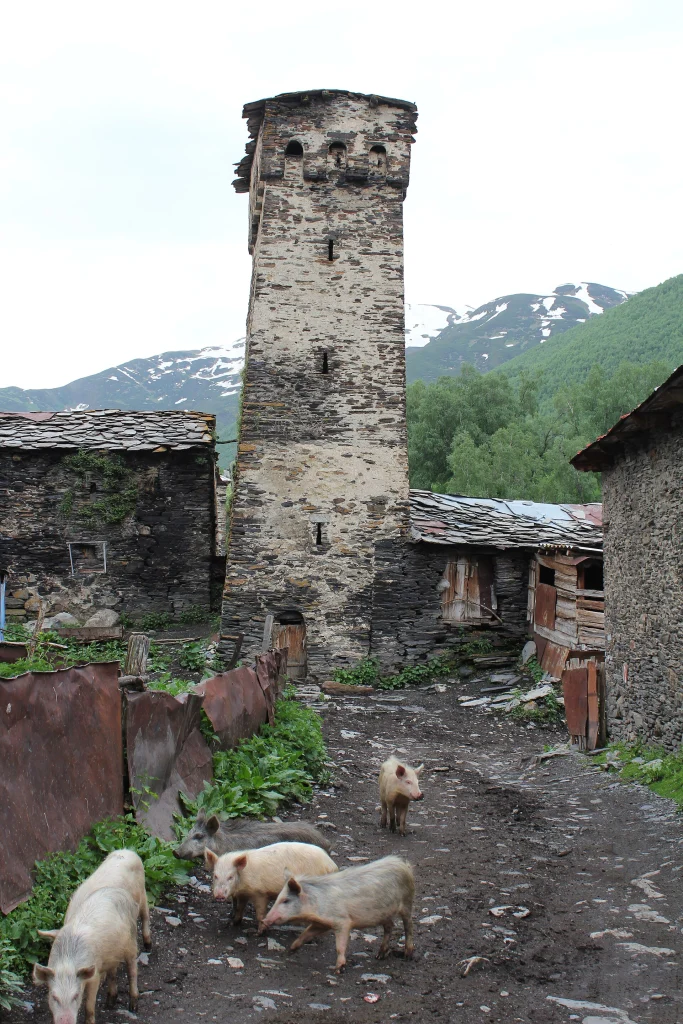 Georgia’s UNESCO Heritage in 5 Days — G Tour itinerary