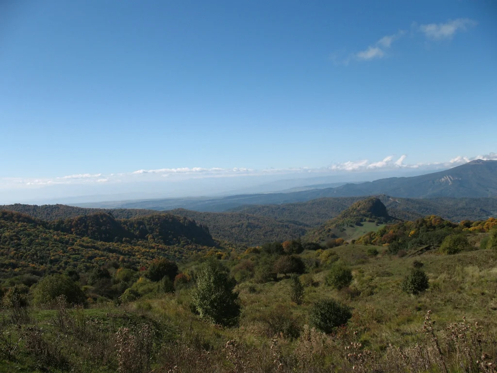 Panoramic view from Gombori Pass showing rolling forested hills and the Alazani Valley below.