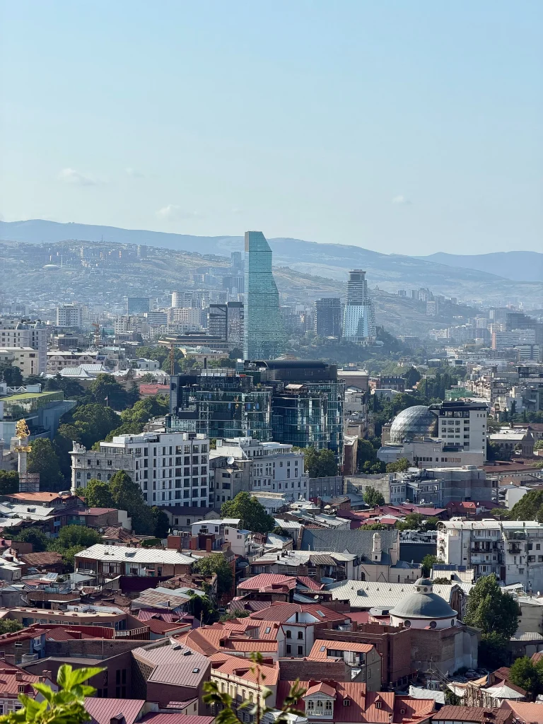 View showing Sololaki, Rustaveli Avenue, and Saburtalo areas of Tbilisi from a nearby hill.