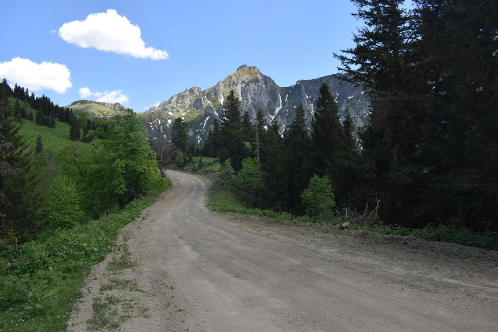 Forested gravel road climbing toward Zekari Pass in the Meskheti mountains.