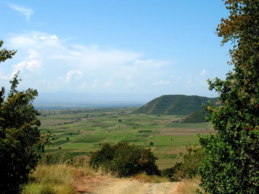 Alazani Valley's green vineyard patchwork stretching toward distant hills under a blue sky.