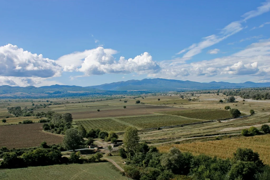 The scenic Alazani Valley with vineyards and mountains, a landscape many visitors to Georgia explore.