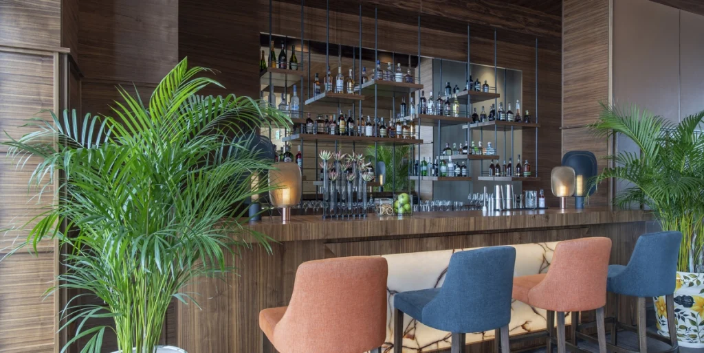 Bar — Bar counter with colorful upholstered stools and shelves of liquor bottles.