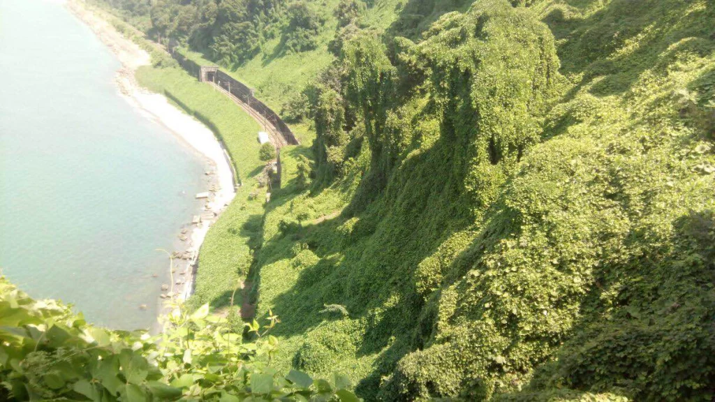 Batumi Botanical Garden, a lush seaside escape often visited on longer port stops.