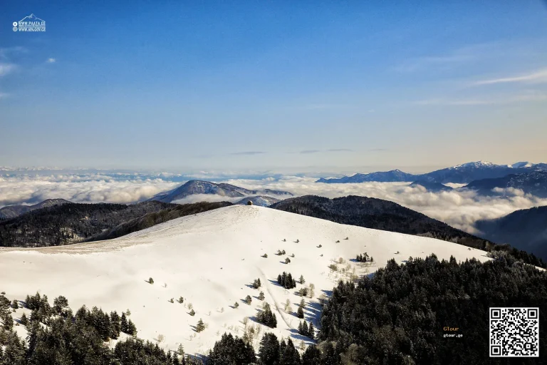 Borjomi-Kharagauli National Park
