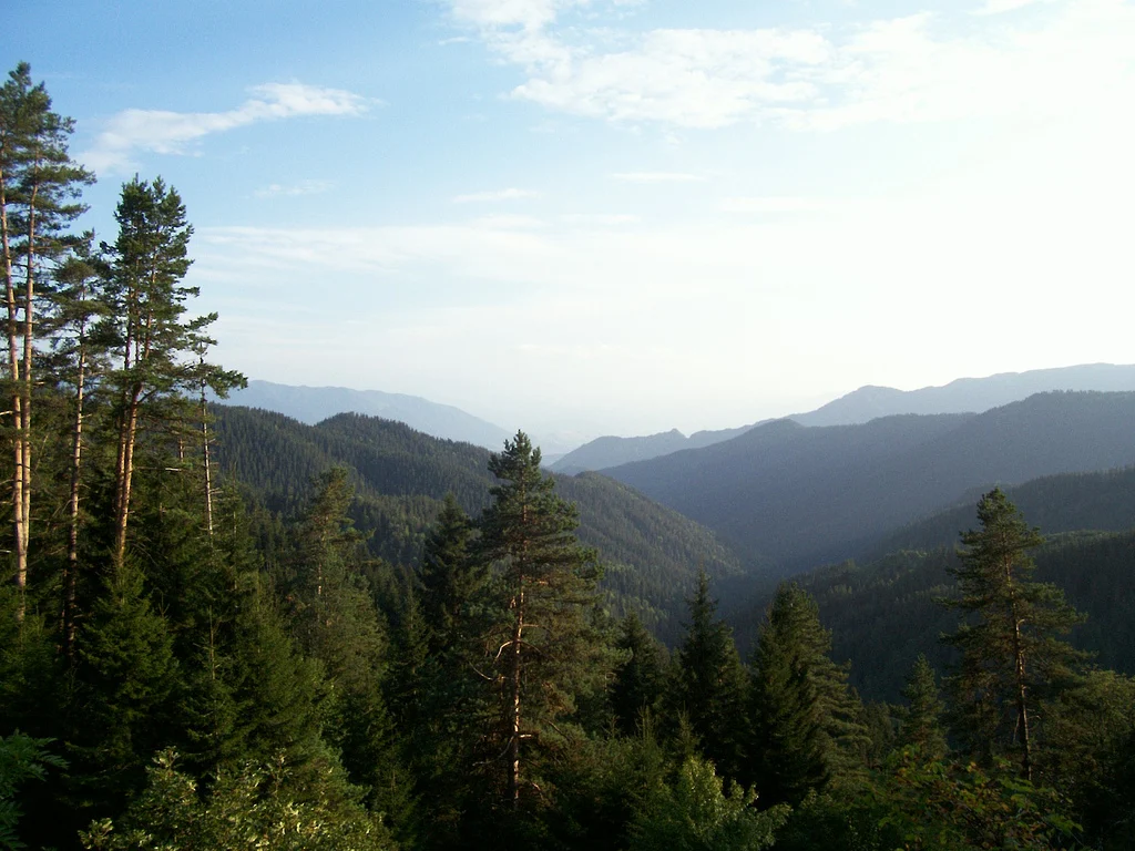 Layered forested ridges stretch toward the horizon in Borjomi-Kharagauli National Park.