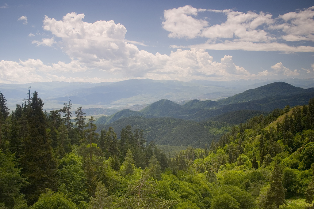 Forested slopes of Borjomi-Kharagauli National Park, the scenic backdrop to Kharagauloba.