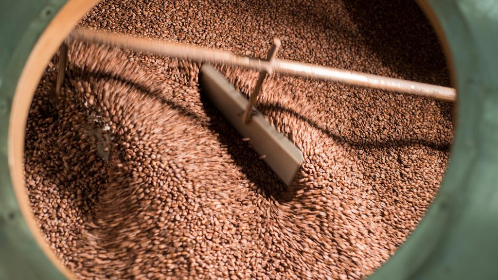 Freshly roasted coffee beans tumbling in a roaster, the festival's signature product.