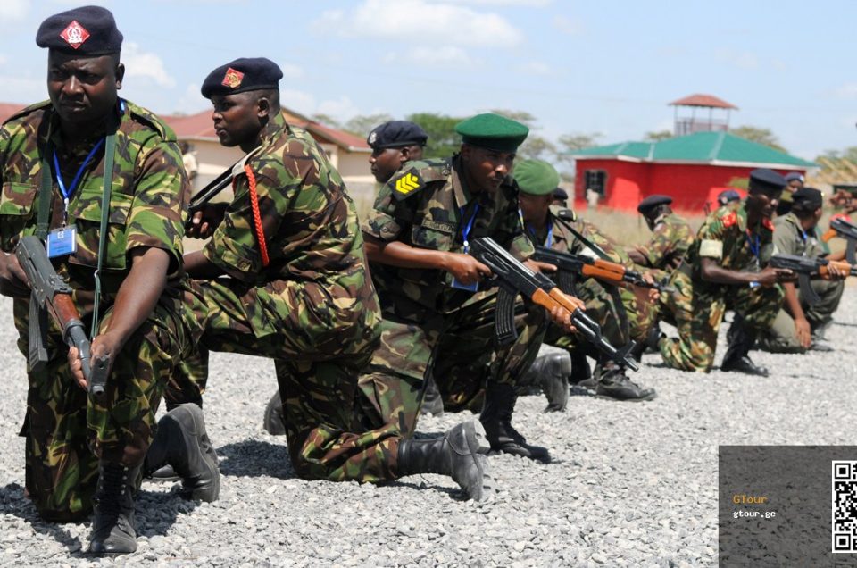Kenya Safari Travellers Face Year-Round Malaria Risk, Doctors Warn