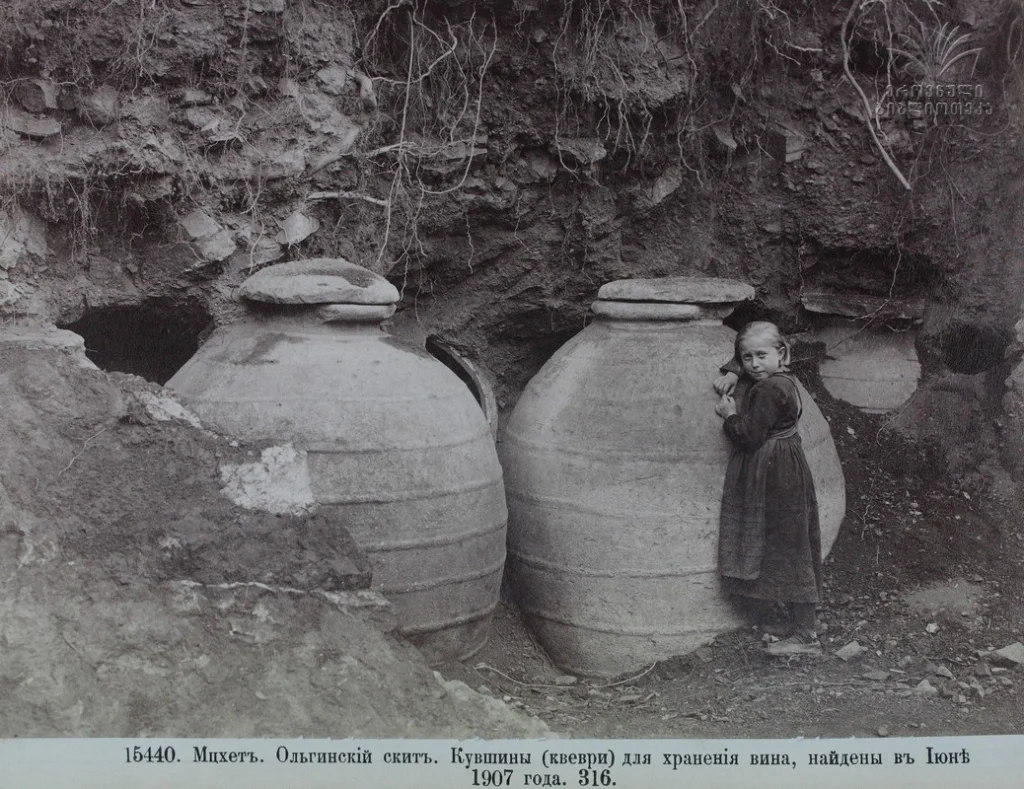 Historic photograph of qvevri wine vessels excavated and used for storing wine in Georgia.