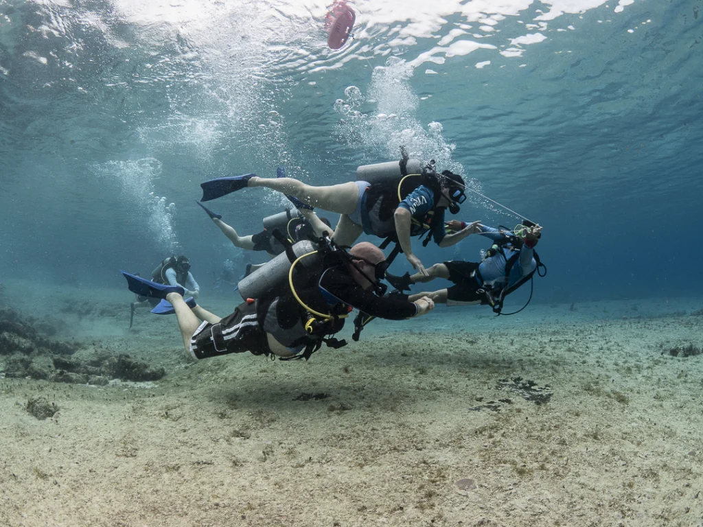 Scuba divers explore the sandy seabed, typical of dive excursions along the Georgian coast.