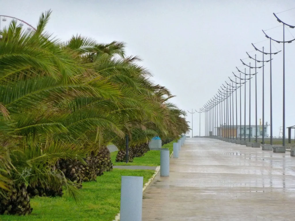 Batumi's palm-lined seaside promenade, the destination at the end of the journey.