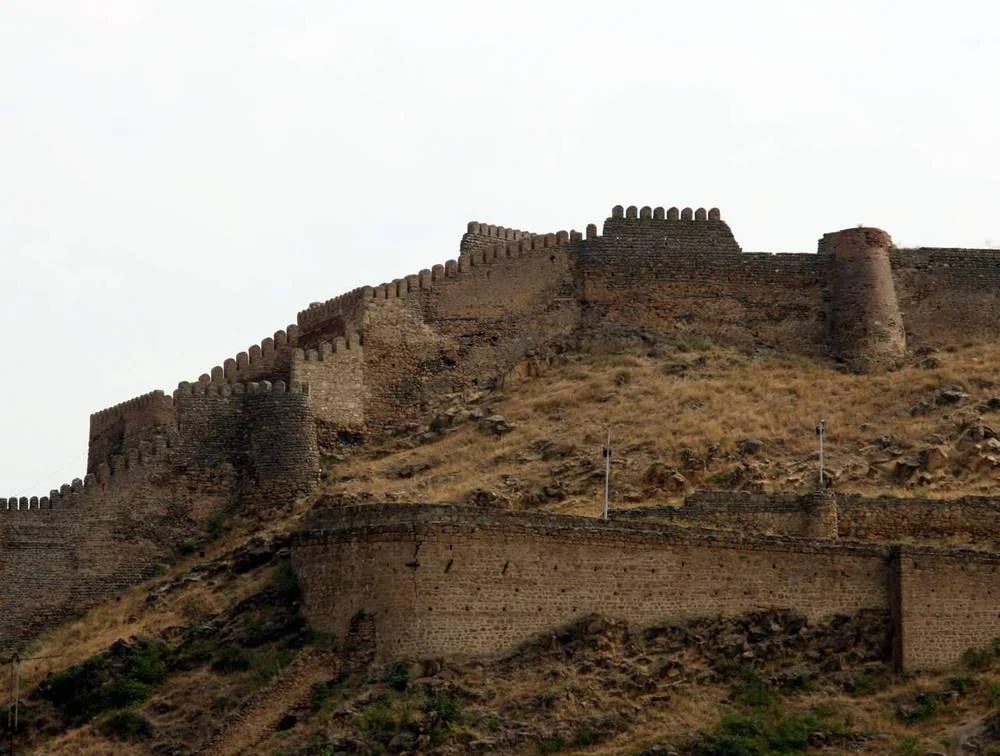 Weathered battlements and towers of Gori Fortress crown the hill overlooking the town.