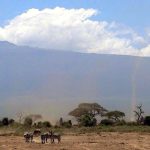 Kenya Safari Planner: When to Go for Migration, Value or Solitude