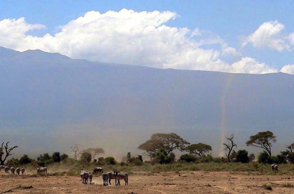 Kenya Safari Planner: When to Go for Migration, Value or Solitude