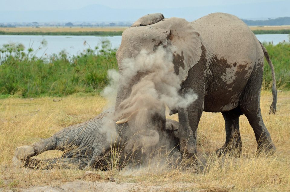 Why One Couple Swapped Maldives Beaches for Kenya's Laikipia Plateau