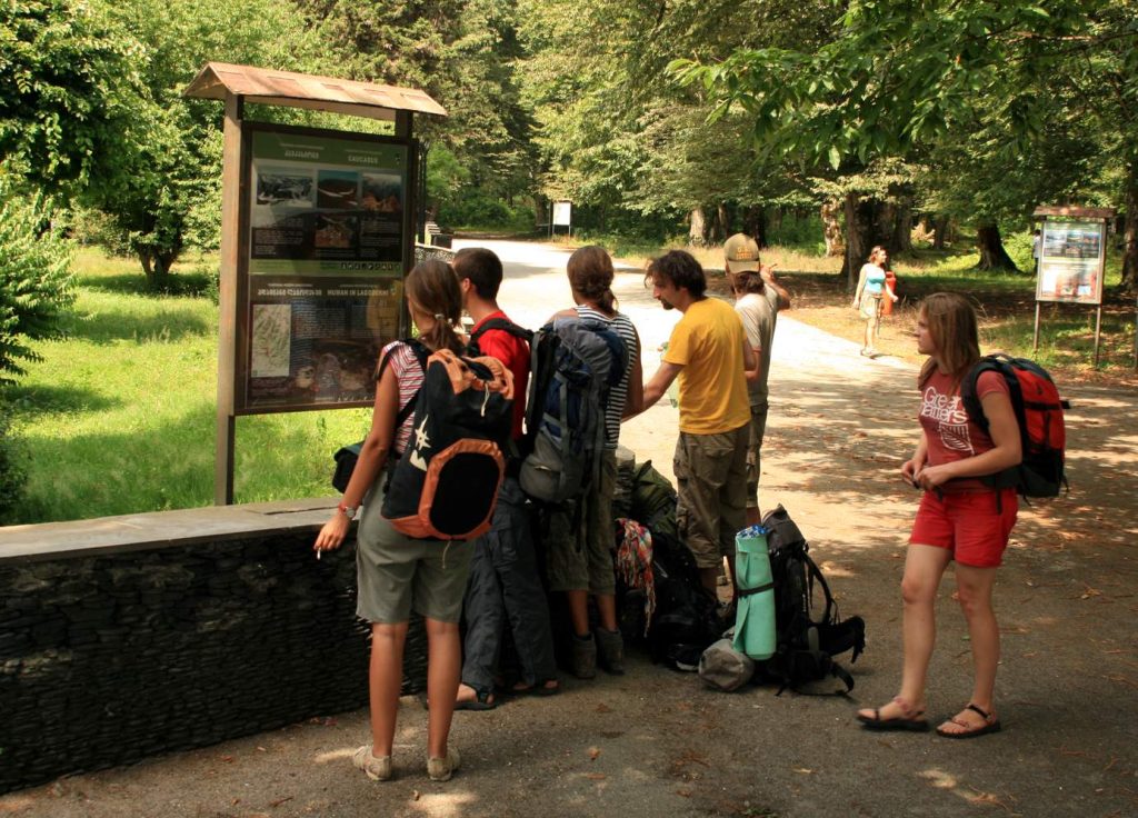 Hikers gather at the entrance to Lagodekhi Protected Areas, the forested backdrop for the Blues Village concerts.
