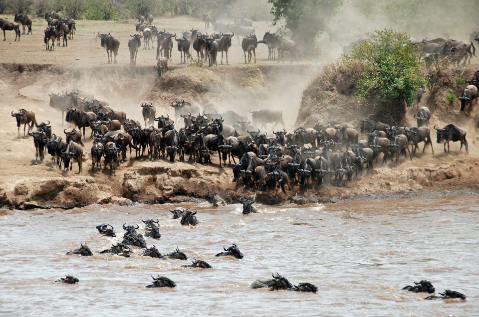 Why Kenya’s ‘Green Season’ Rains Are a Safari Secret Weapon