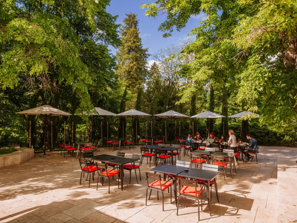 Ресторан Natella — терраса в саду среди высоких деревьев, столики под зонтами.