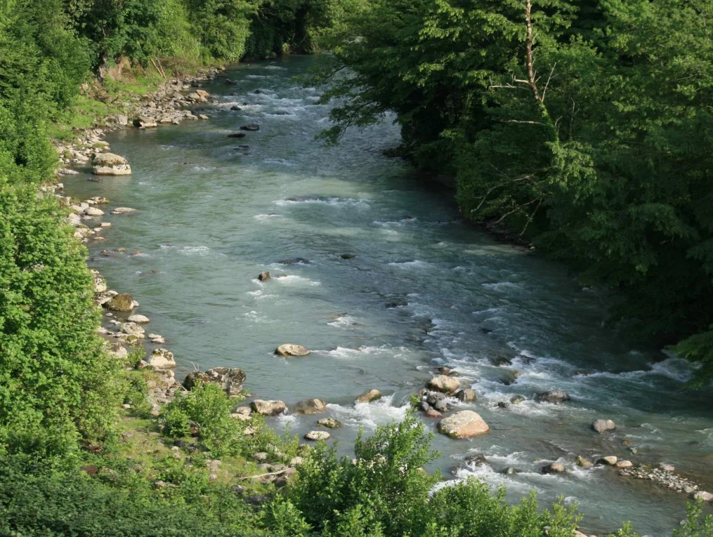 The clear Gubazeuli river flowing through lush forest in Guria, Georgia.