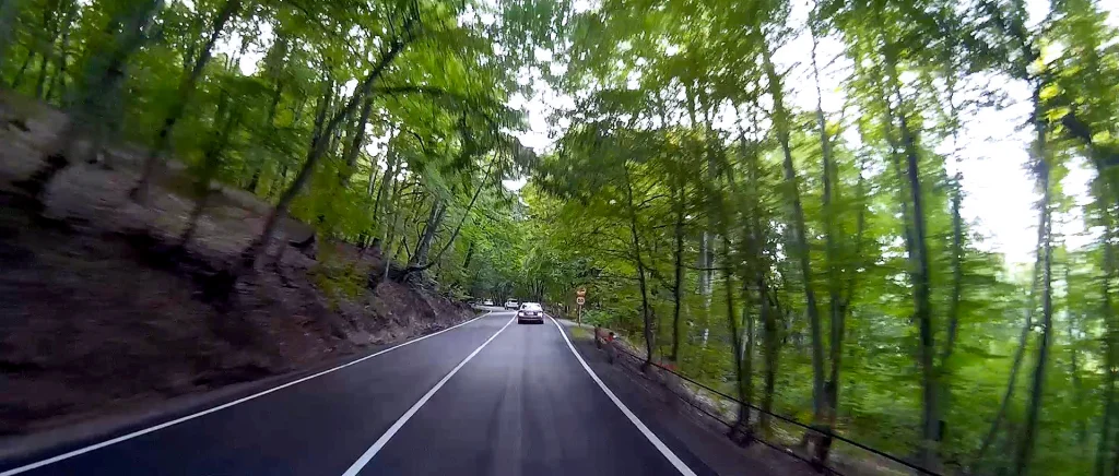 A lush forested road winding through the Gombori mountain pass on the way to Telavi.