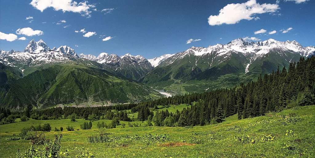 Panoramic view of the snow-capped Svaneti mountain range above a green valley.