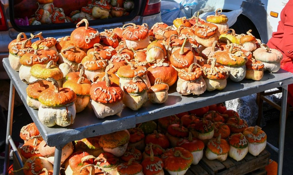 Decorative pumpkins displayed as part of Tbilisoba festival crafts and harvest traditions.
