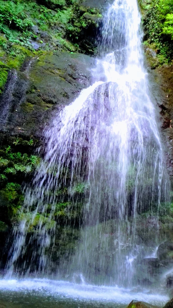 Tsablnari waterfalls located within Mtirala National Park in Adjara, Georgia.