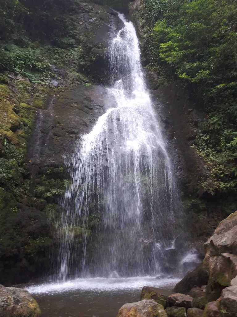 Mtirala Rainforest and the Chakvi Tea Plantations — G Tour itinerary