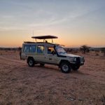 What a Kenya Safari Really Costs, Tier by Tier