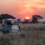 Turning a Nairobi Stopover Into a Mini Safari