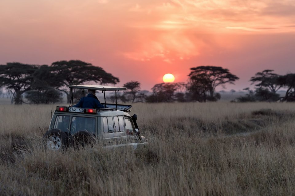 Turning a Nairobi Stopover Into a Mini Safari