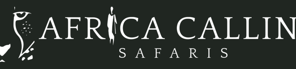 Safari News — The Editorial Team of Africa Calling Safaris