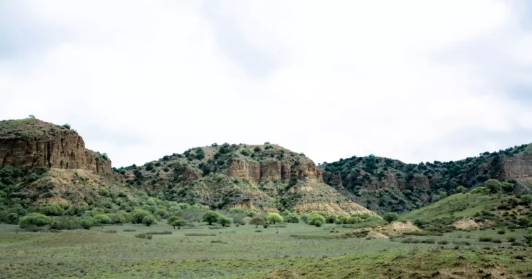 The rainbow hills: why the earth near Gareji is striped