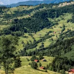 Гомардули