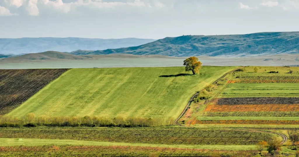 Kakheti Wine Country — Day Trip — G Tour itinerary