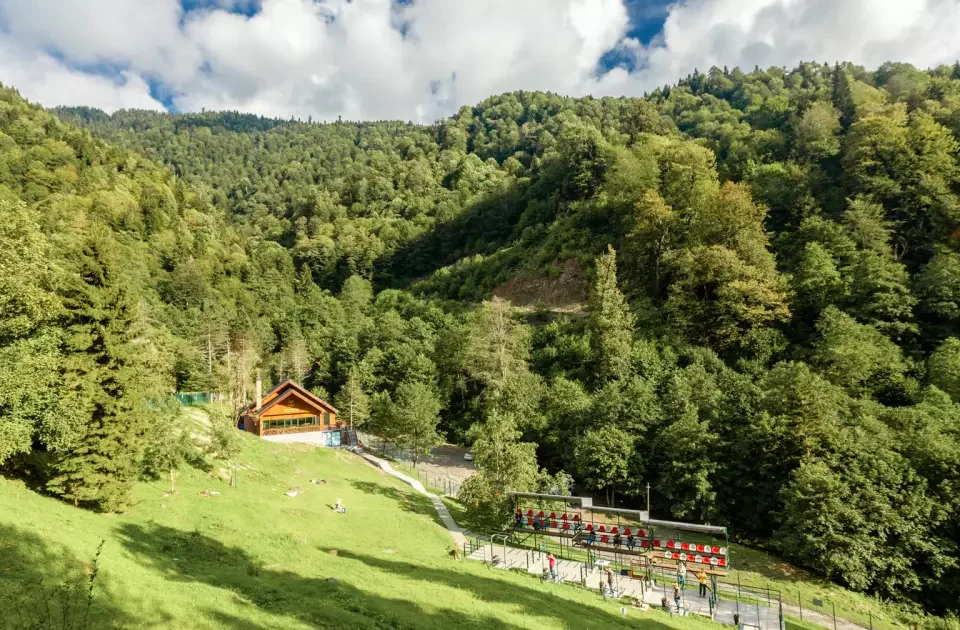 Sairme: A Forest Spa Pause in the Imereti Hills This October